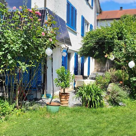 Ferienwohnung Am Bruchwald 비트그하임-비징엔 외부 사진